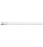 Philips MASTER LED Tube T8 (EM/Direct 230V) Ultra Efficiency 11.9W 2500lm - 865 Lumière Du Jour | 120cm - Équivalent 36W